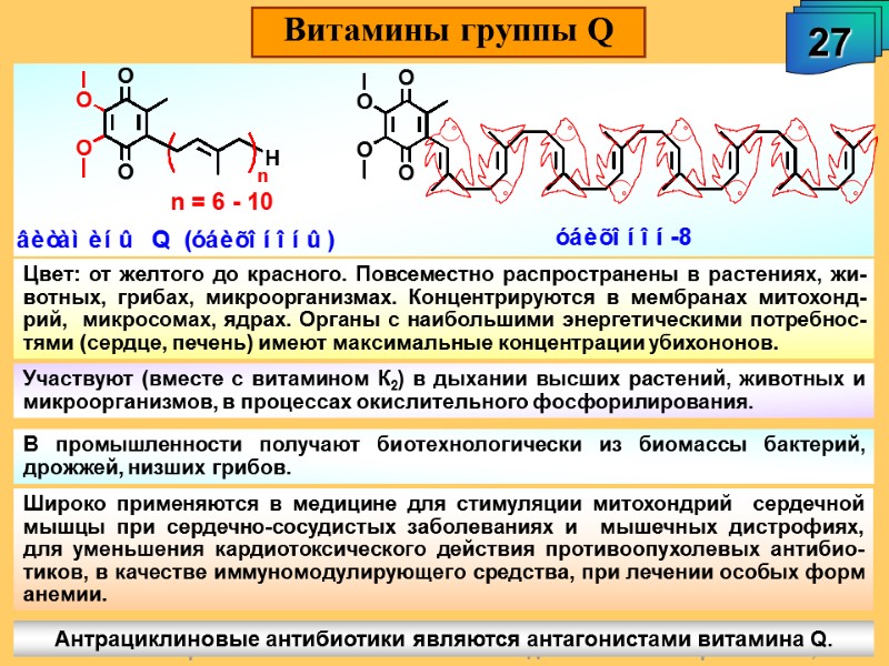 А.М. Чибиряев 